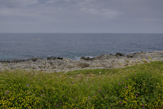 969842 (a): :2048x1367